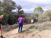 2018-11-12 14.06.50 (Grand)